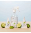 Packungsspray "Vitres" - Pimpant