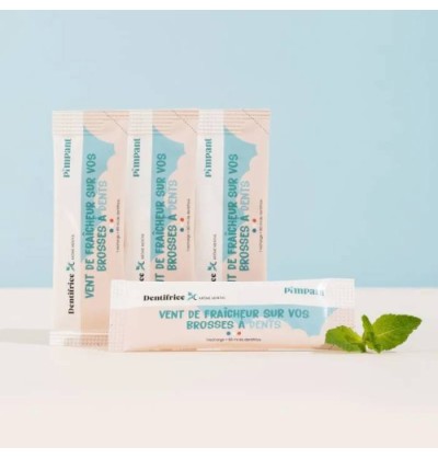 Dentifrice à la menthe - rechargeable