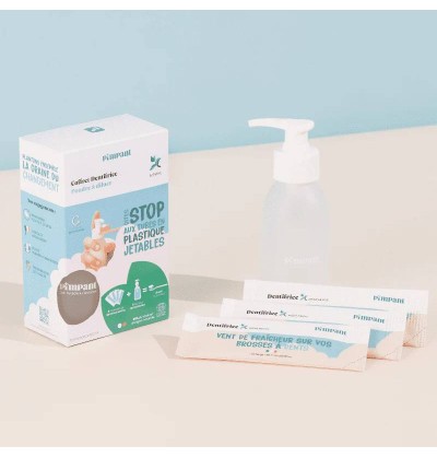 Dentifrice à la menthe - rechargeable