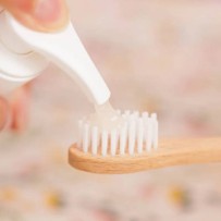 Dentifrice citron - recharge - PIMPANT