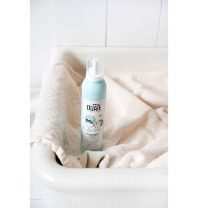 Ma chantilly lavante