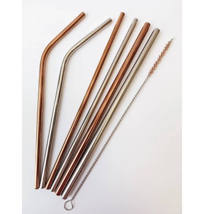 Pack de 3 pailles en acier inoxydable + brosse