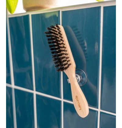 Porte brosse à dents ventouse & Clips - Apimani