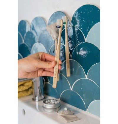 Porte brosse à dents ventouse & Clips - Apimani