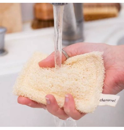 Geschirrschwamm aus Luffa | Luffa - Chamarrel