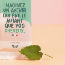 Reinigendes Shampoo (fettiges Haar) – Pimpant