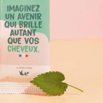 Reinigendes Shampoo (fettiges Haar) – Pimpant