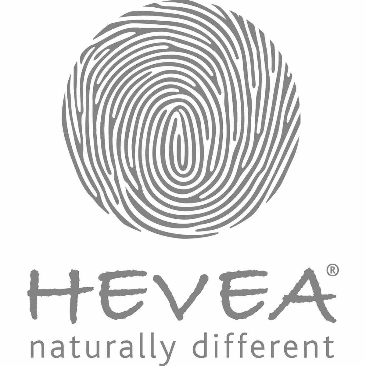 Hévéa